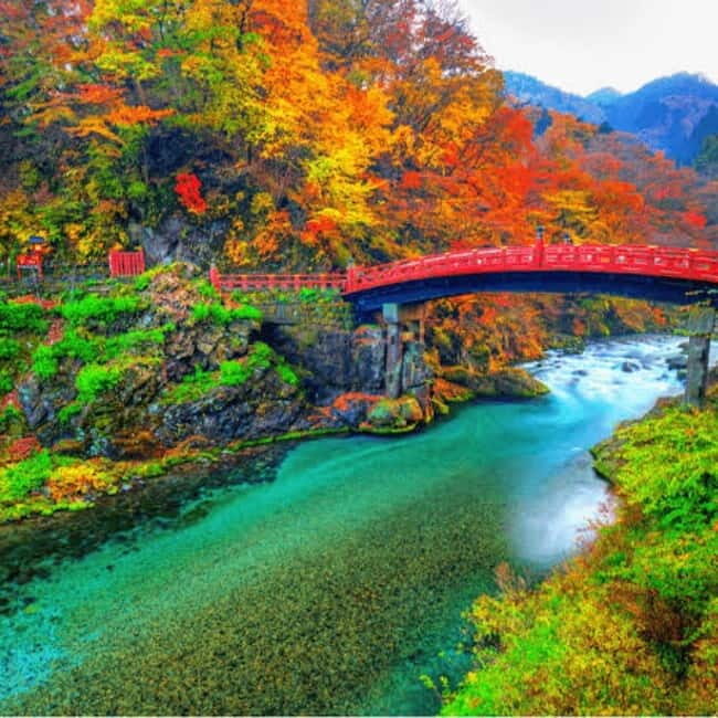 From Tokyo To Nikko Private Day Tour With English Guide - A Comfortable and Flexible Day Trip to Nikko