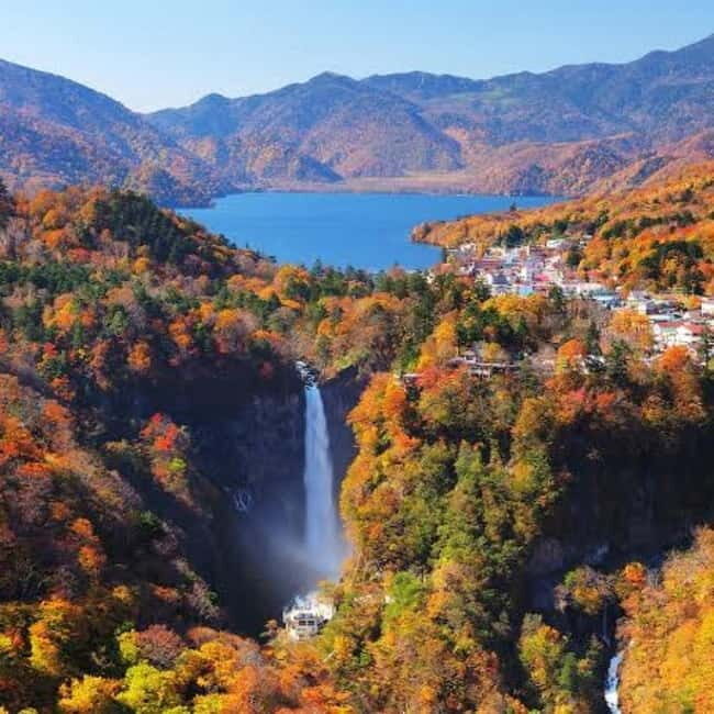 From Tokyo To Nikko Private Day Tour With English Guide - Why This Tour Works for You