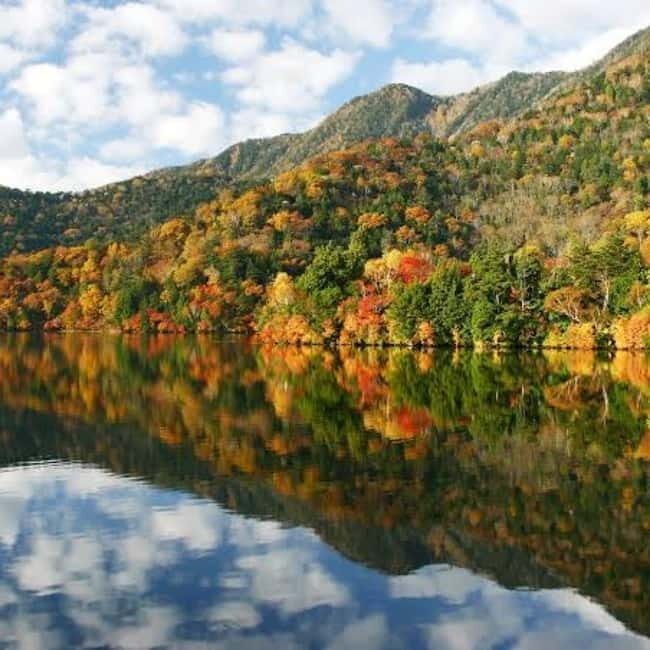 From Tokyo To Nikko Private Day Tour With English Guide - Who Will Love This Tour?