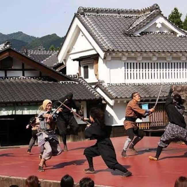 From Tokyo To Nikko Private Day Tour With English Guide - FAQ