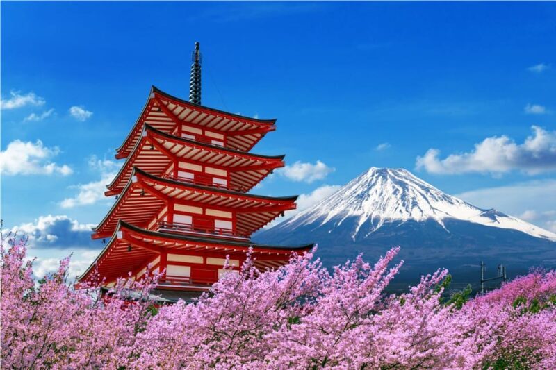 From Tokyo: Tokyo, Kyoto, Osaka, & Nikko Private 7-Day Tour - Why This Tour Offers Great Value