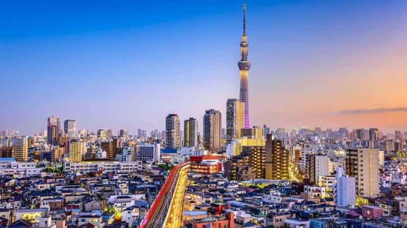 From Tokyo: Tokyo Private Customize Tour With English Driver - A Closer Look at the Itinerary and Experience
