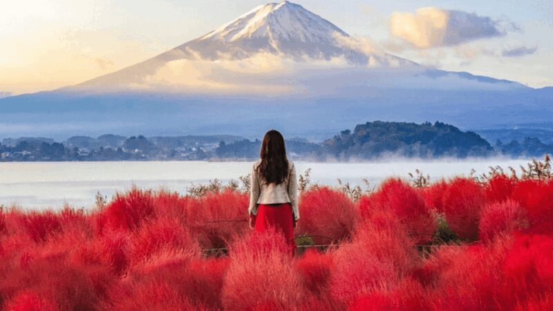 From Tokyo:Mount Fuji Private Customizable Tour With English - An In-Depth Look at the Tour Experience