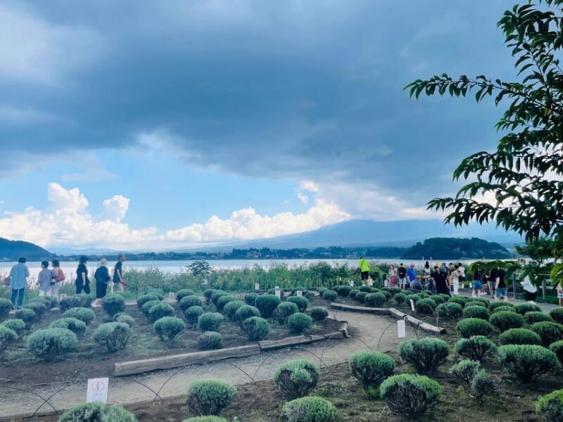 From Tokyo:Mount Fuji private day tour with English driver - An Authentic and Practical Mount Fuji Experience