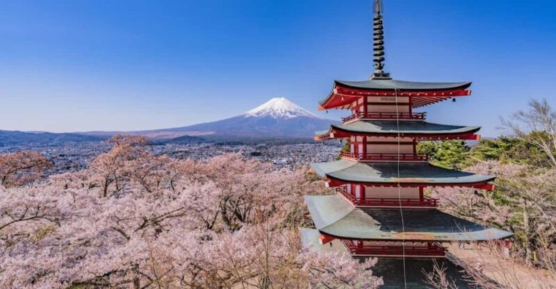 From Tokyo:Mt.Fuji &Hakone Trip with English Speaking guide - The Itinerary Breakdown: What to Expect and Why It Matters
