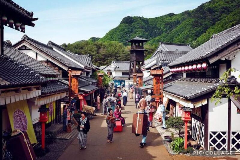 From Tokyo:Nikko Full Day Tour w/Hotel Pickup by Private Car - A Deep Dive into the Journey