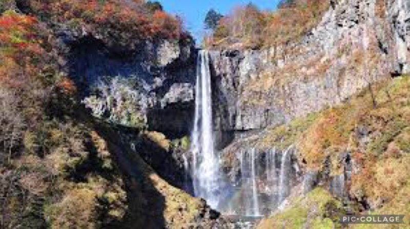 From Tokyo:Nikko Full Day Tour w/Hotel Pickup by Private Car - The Sum Up