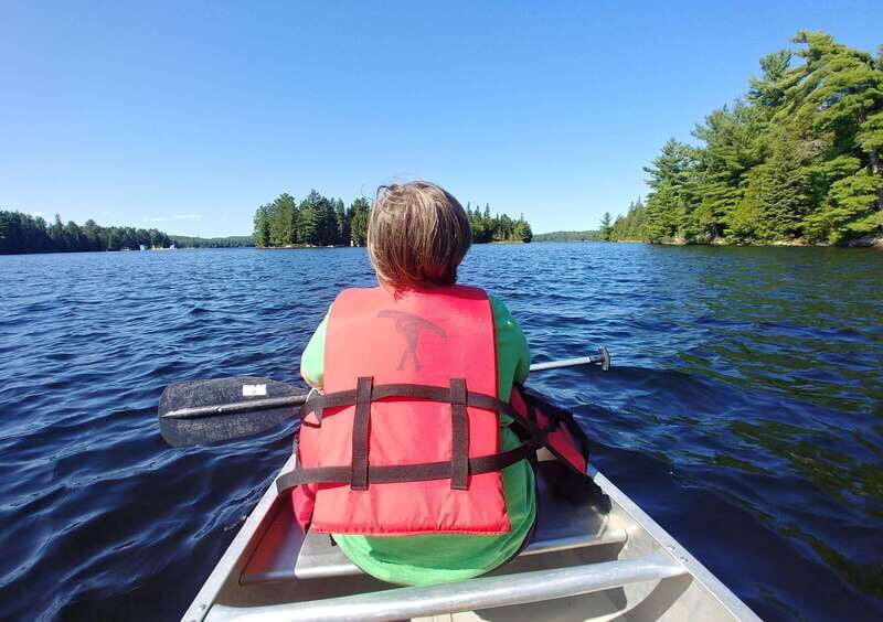 From Toronto: Algonquin Park Canoeing & Hiking Adventure - Who Will Love This Tour?