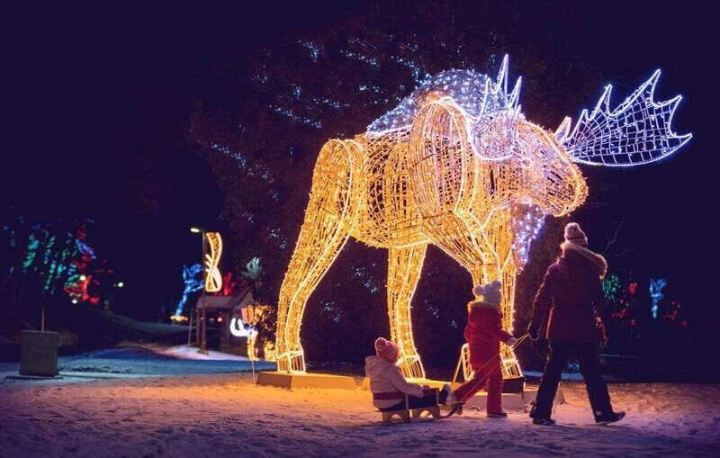 From Toronto: Winter Festival of Lights Niagara Falls Tour - The Sum Up