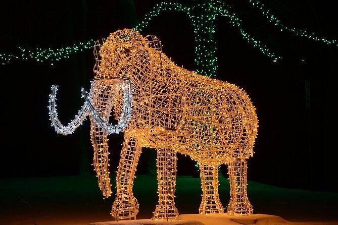 From Toronto:Winter Festival of Lights Niagara Falls Evening Tour - Key Points