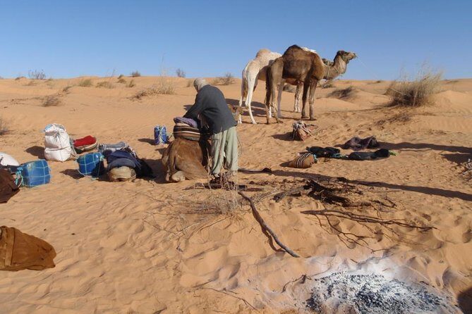 From Tozeur: 3-Day Desert Trip - Who Should Consider This Tour?