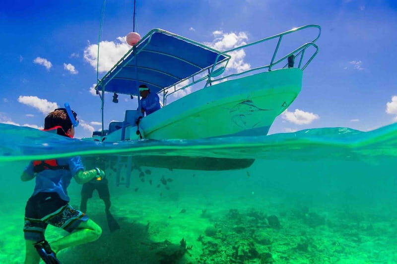 From Tulum: Cenote Riviera Maya & Snorkel Excursion - Price and Value