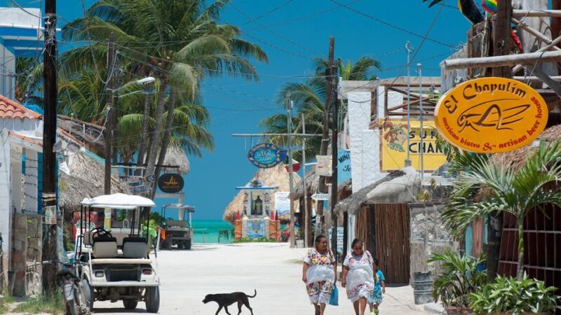 From Tulum: Holbox Island Full-Day Trip with Lunch - Who Will Love This Tour?