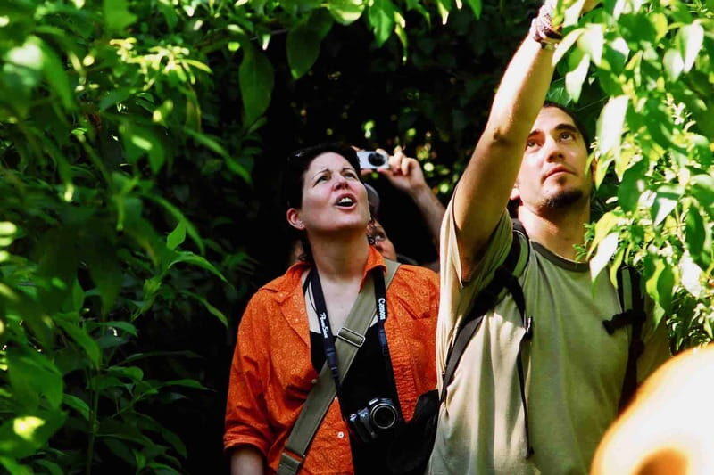 From Tulum: Sian KaAn Muyil Lagoon Tour - Exploring the Details of the Sian KaAn Muyil Lagoon Tour