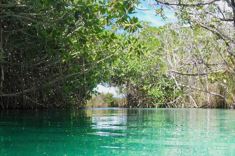 From Tulum: Sian KaAn Muyil Lagoon Tour - Pricing and Value