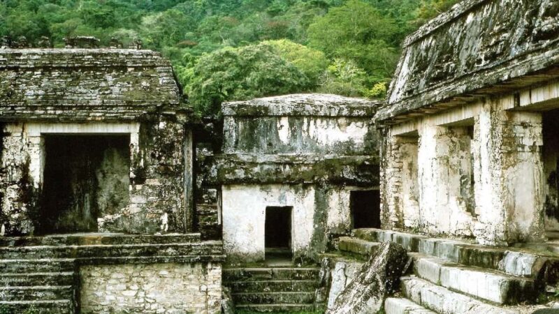 From Tuxtla Gutierrez: Palenque & Chiapas 4-Day Tour - Day 3: Palenque Ruins and Roberto Barrios Waterfalls
