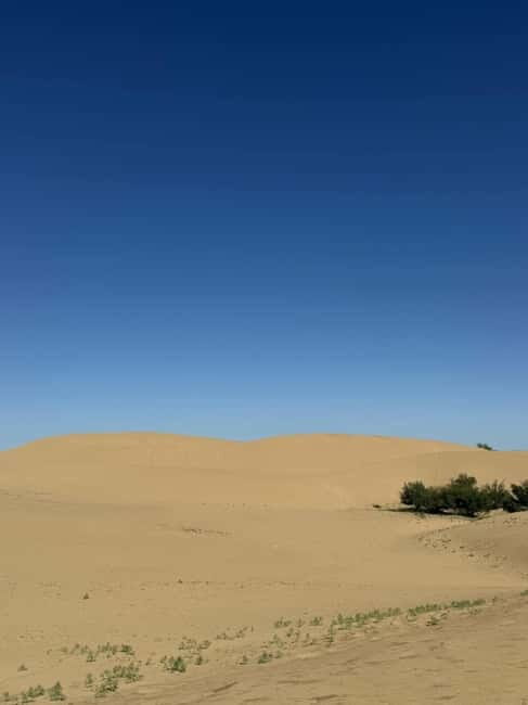 From UB: 2-Days Private Tour to Kharhorin and sand Semi Gobi - Is This Tour Worth It?
