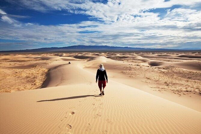 From UB: 2 Days Private Tour to Kharkhorin and Mini Semi Gobi - A Practical Review of the 2-Day Private Tour to Kharkhorin and Mini Semi Gobi
