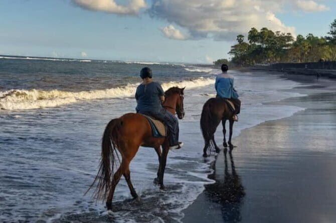 From Ubud 1 Hour Horse Riding at The Beach Experiences - The Sum Up