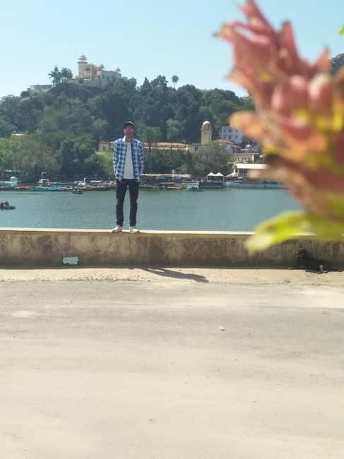 From Udaipur: Mount Abu Day Trip - Who Is This Tour Best For?