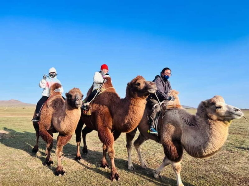 From Ulaanbaatar: 2-Day Kharkhorin and Elsen Tasarkhai Tour - What to Expect and Practical Tips