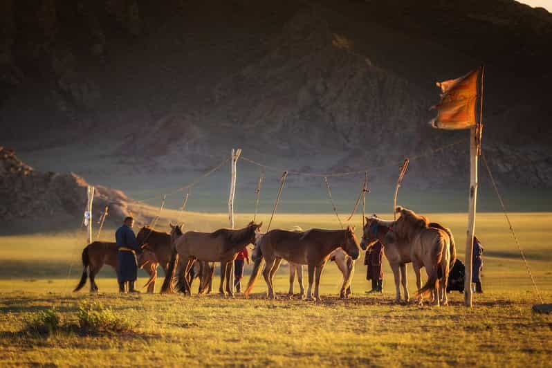 From Ulaanbaatar: Day Trip to Hustai National Park - An In-Depth Look at the Hustai Day Trip