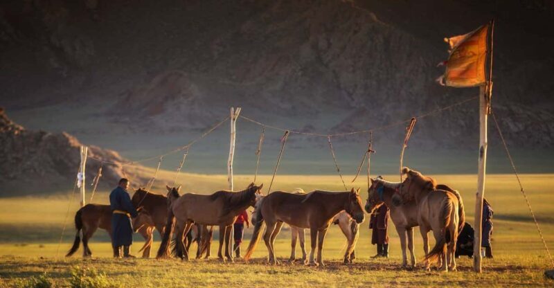 From Ulaanbaatar: Day Trip to Hustai National Park - What to Keep in Mind