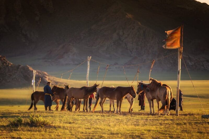 From Ulaanbaatar: Day Trip to Hustai National Park - Final Thoughts: Who Should Consider This Tour?