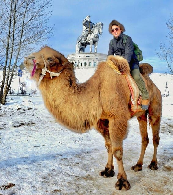 From Ulaanbaatar: Genghis Khan Statue NationalPark CamelRide - Discovering Terelj National Park