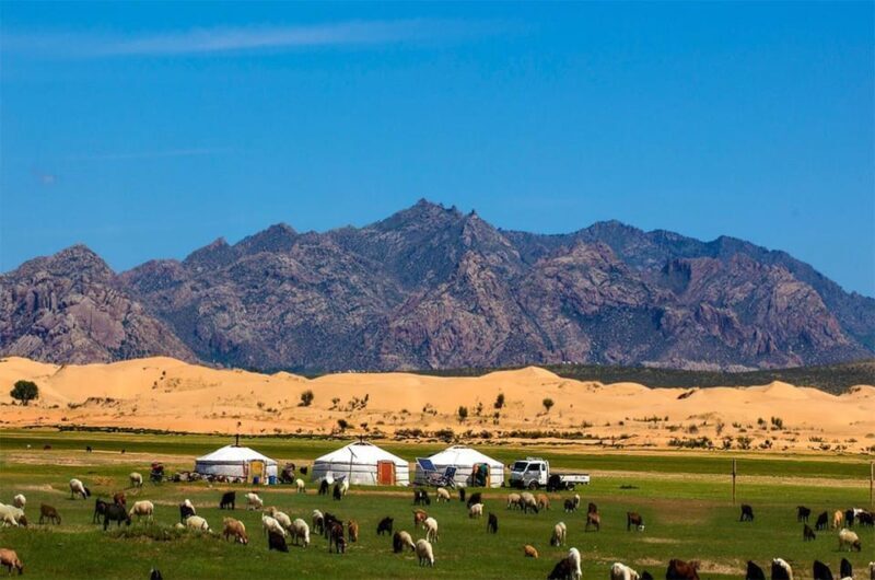 From Ulaanbaatar: Semi Gobi and Ancient Kharkhorin Tour - Authentic Mongolian Experiences