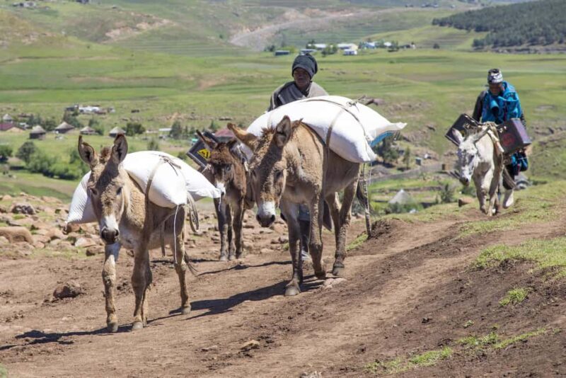 From Underberg: 3-Day Lesotho Highlights Guided Tour - Why Choose This Tour?