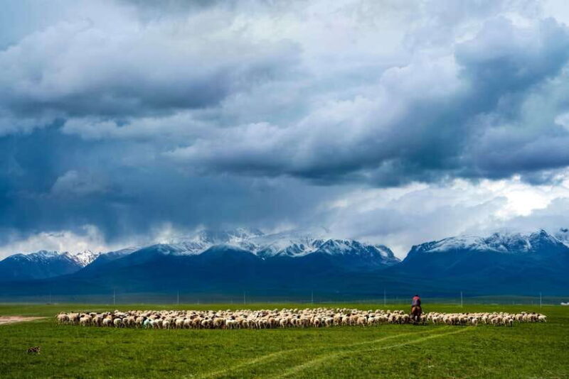 From Urumqi: 7-Day Silk Road Tour with Kashgar and Turpan - An In-Depth Look at the Tour