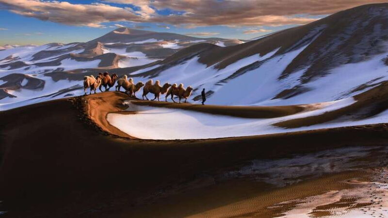 From Urumqi: 7-Day Silk Road Tour with Kashgar and Turpan - Who Will Love This Tour?