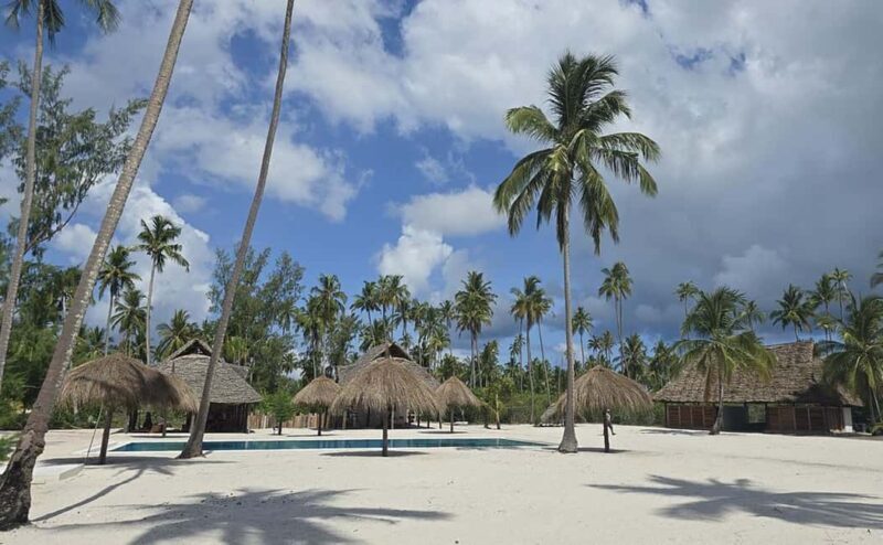 From Utende: Marimbani Sandbank Snorkeling Trip with BBQ - Key Points