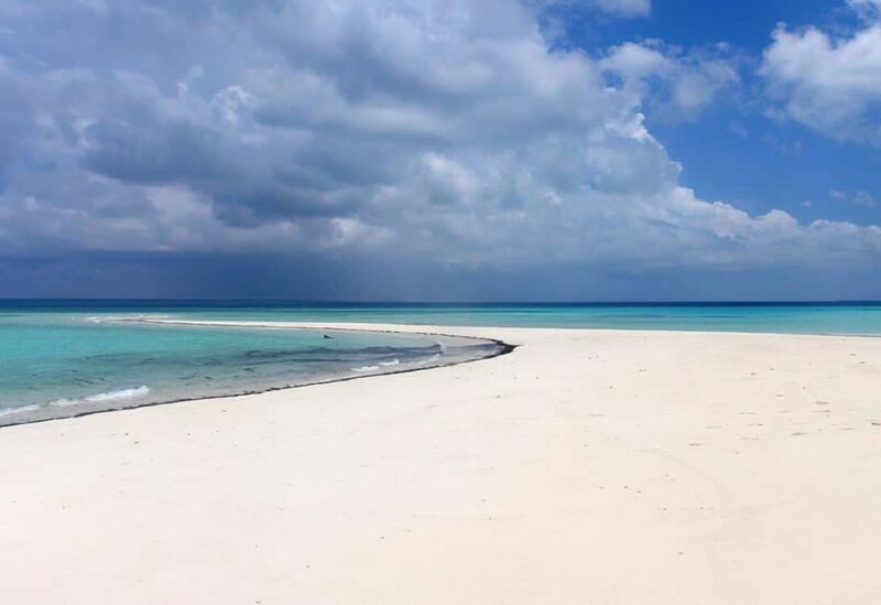 From Utende: Marimbani Sandbank Snorkeling Trip with BBQ - The Journey to a Tiny Paradise
