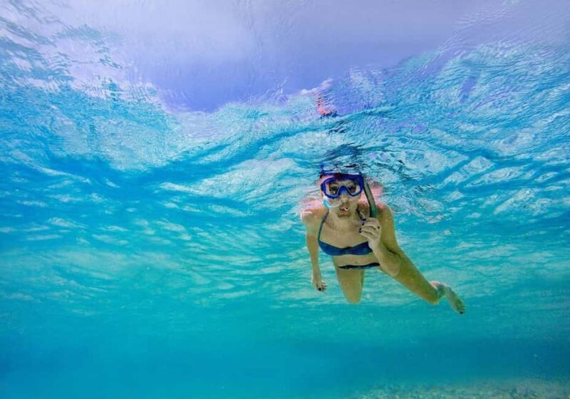 From Utende: Marimbani Sandbank Snorkeling Trip with BBQ - The Seafood BBQ Experience