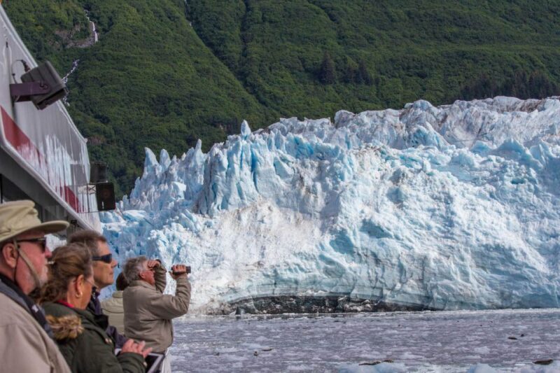 From Valdez: 7.5-hour Meares Glacier & Wildlife Cruise - An In-Depth Look at the Tour