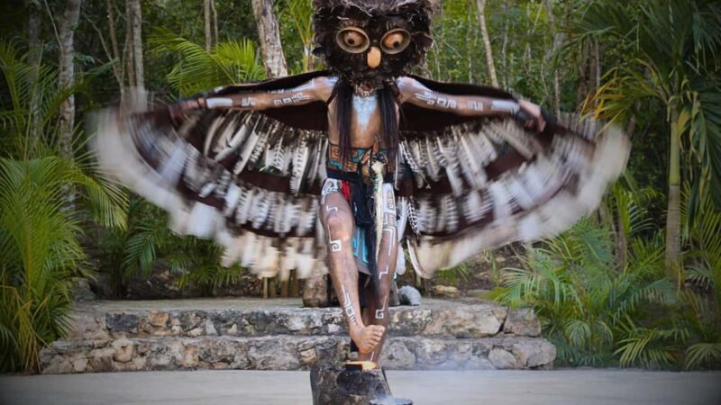 From Valladolid Chichén Itzá and 2 Cenotes (shared transportation) - Who Would Enjoy This Tour?