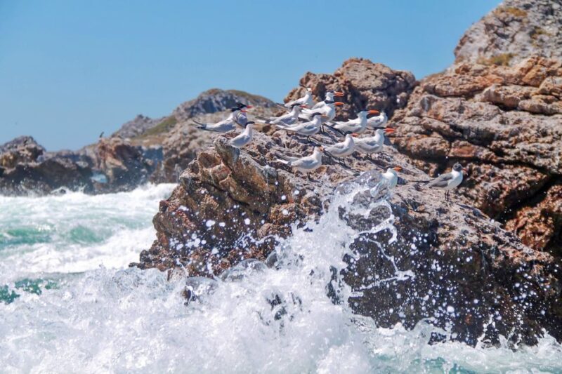 From Vallarta: Marietas Islands & Beach BBQ at Majahuitas - Authentic Experiences and Authenticity