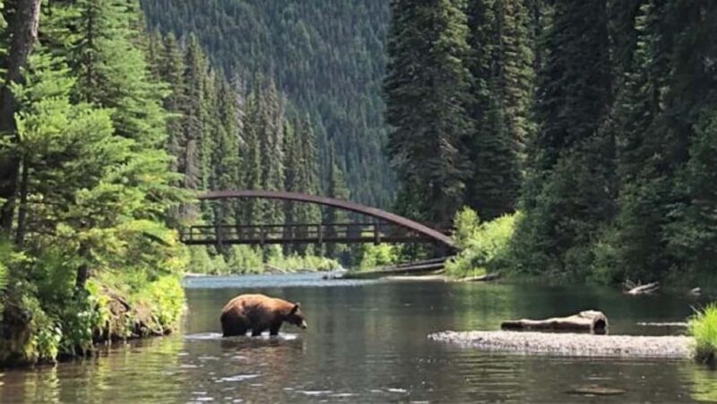From Vancouver: 3-Day Tour to Manning Park, Nelson & Osoyoos - Authentic Experiences and Hidden Gems