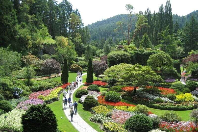 From Vancouver: Private Victoria Full Day Tour - The Journey Begins: From Vancouver to Victoria