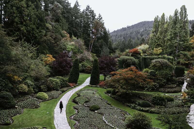 From Vancouver: Victoria, BC Ferry, Butchart Gardens Tour - Key Points