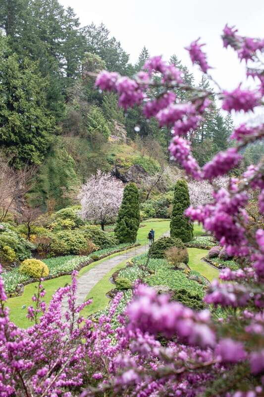 From Vancouver: Victoria, BC Ferry, Butchart Gardens Tour - Final Thoughts