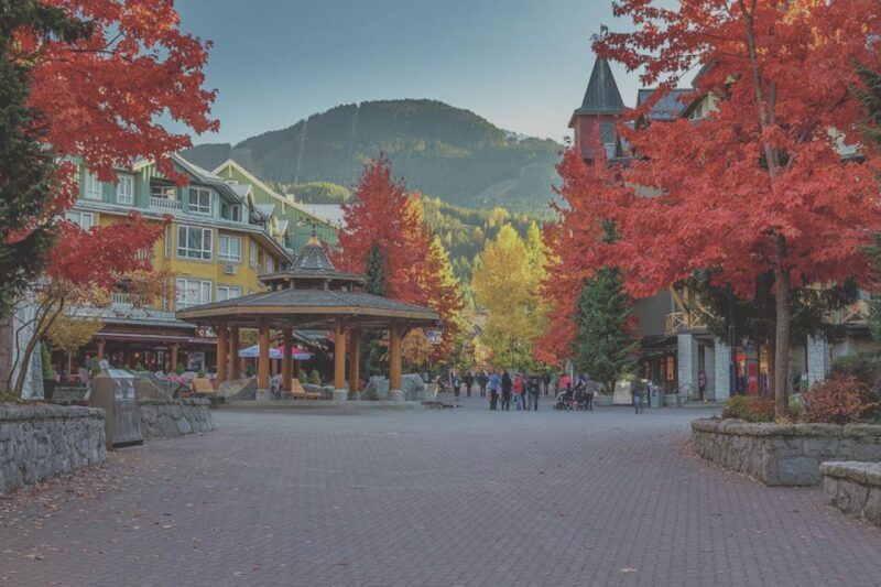From Vancouver: Whistler and Shannon Falls Private Day Trip - An In-Depth Look at the Tour Experience