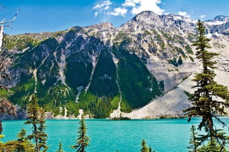 From Vancouver: Whistler Tour with Shannon Falls and Gondola - Key Points