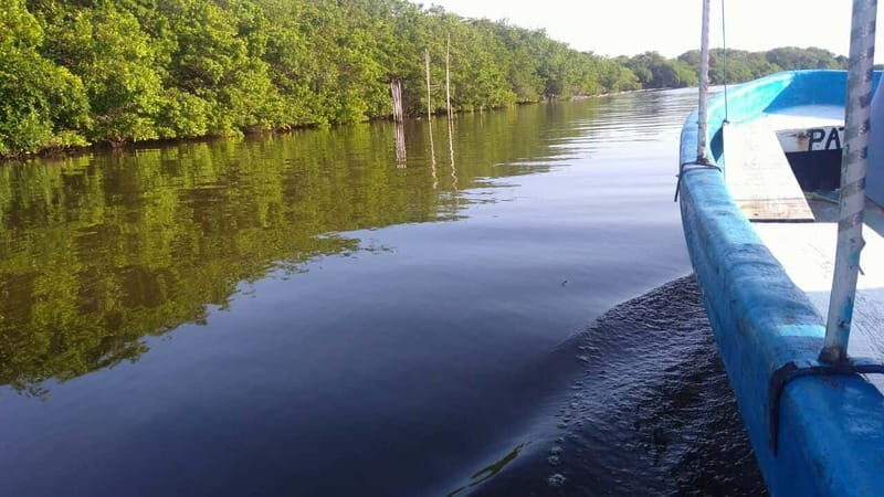 From Veracruz: Nature & Seafood Boat Tour to Madinga - Final Thoughts