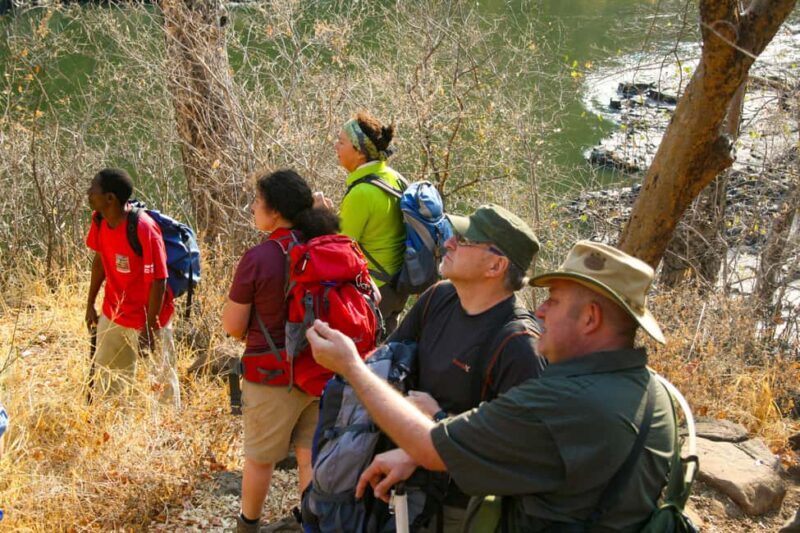 From Victoria Falls: Batoka Hike & Ndebele Village Tour - An In-Depth Look at the Experience