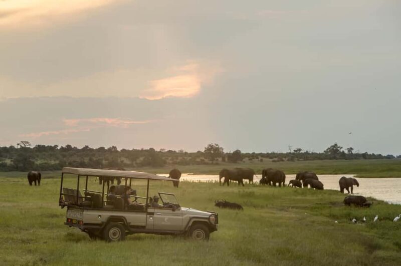 From Victoria Falls : Chobe Full Day Safari with Lunch - What to Expect from the Chobe Full Day Safari