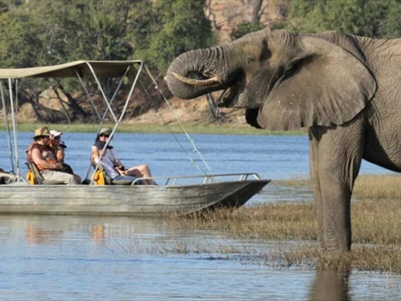From Victoria Falls: Chobe National Park Day Trip - The Value for Money