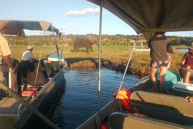 From Victoria Falls: Chobe National Park Small Group Tour - Return Trip and Border Crossing